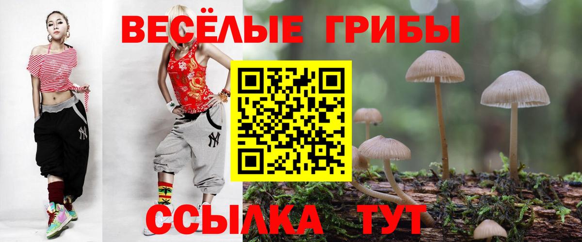 Псилоцибиновые грибы GOLDEN TEACHER Рубцовск